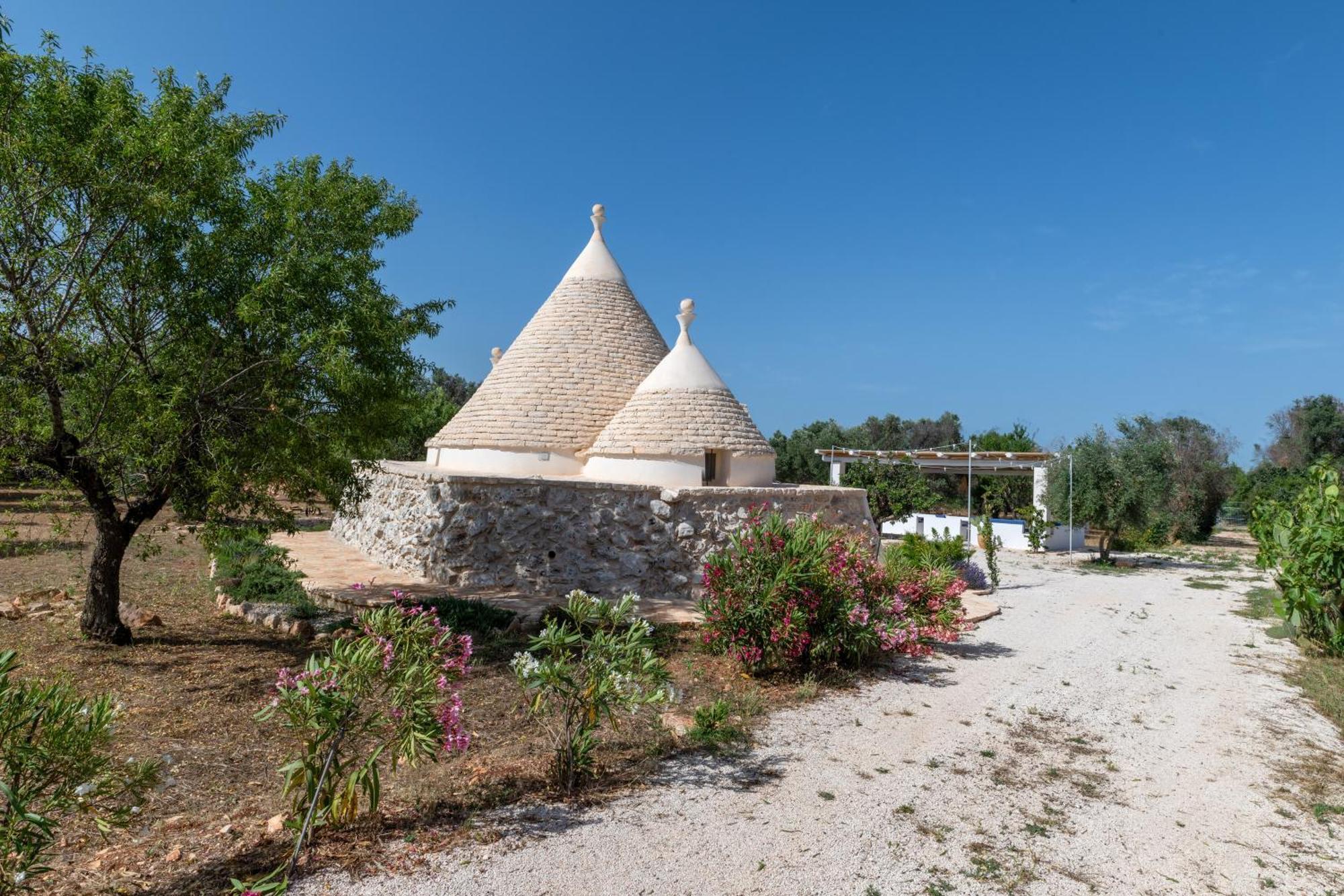 세글리에 메사피카 Il Trullo Di Mariangela 빌라 외부 사진